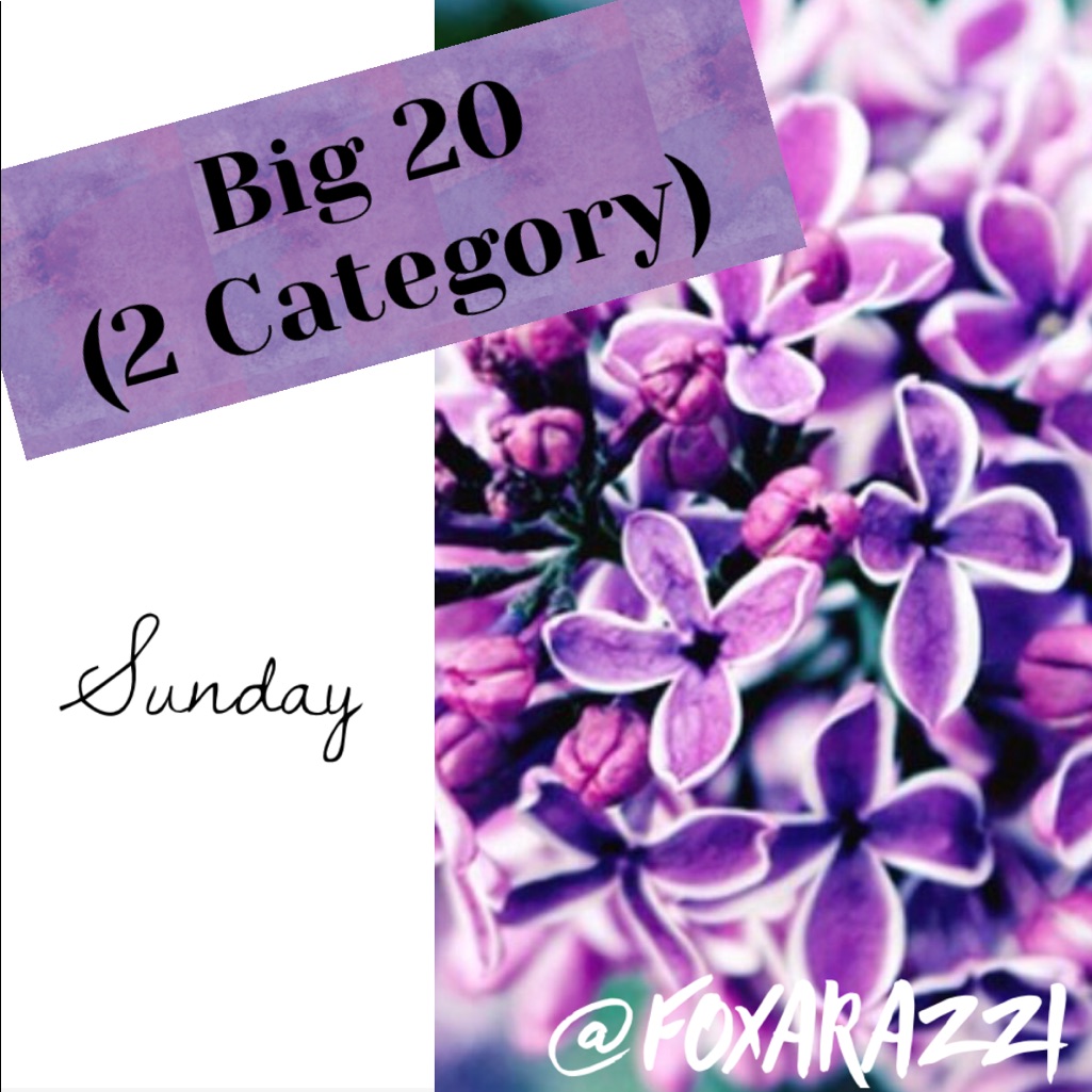 Closed Big 20 Sunday 20 Shares 2 Category Sg